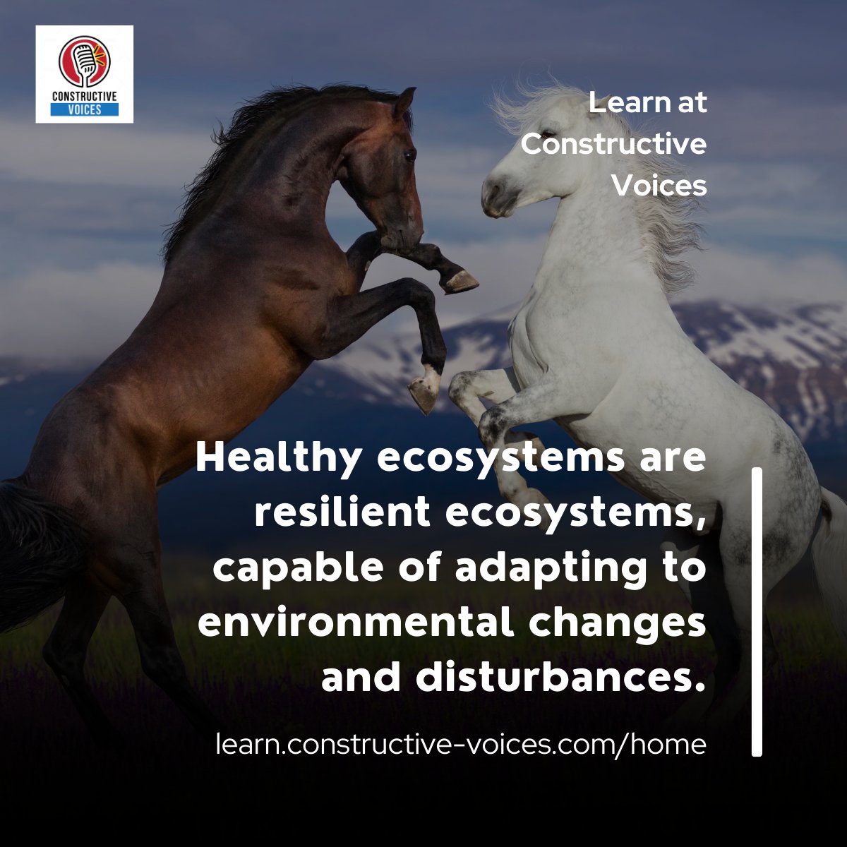 'Healthy ecosystems are resilient ecosystems, capable of adapting to environmental changes and disturbances.' #biodiversity #biodiversitynetgain #training - learn.constructive-voices.com/home/