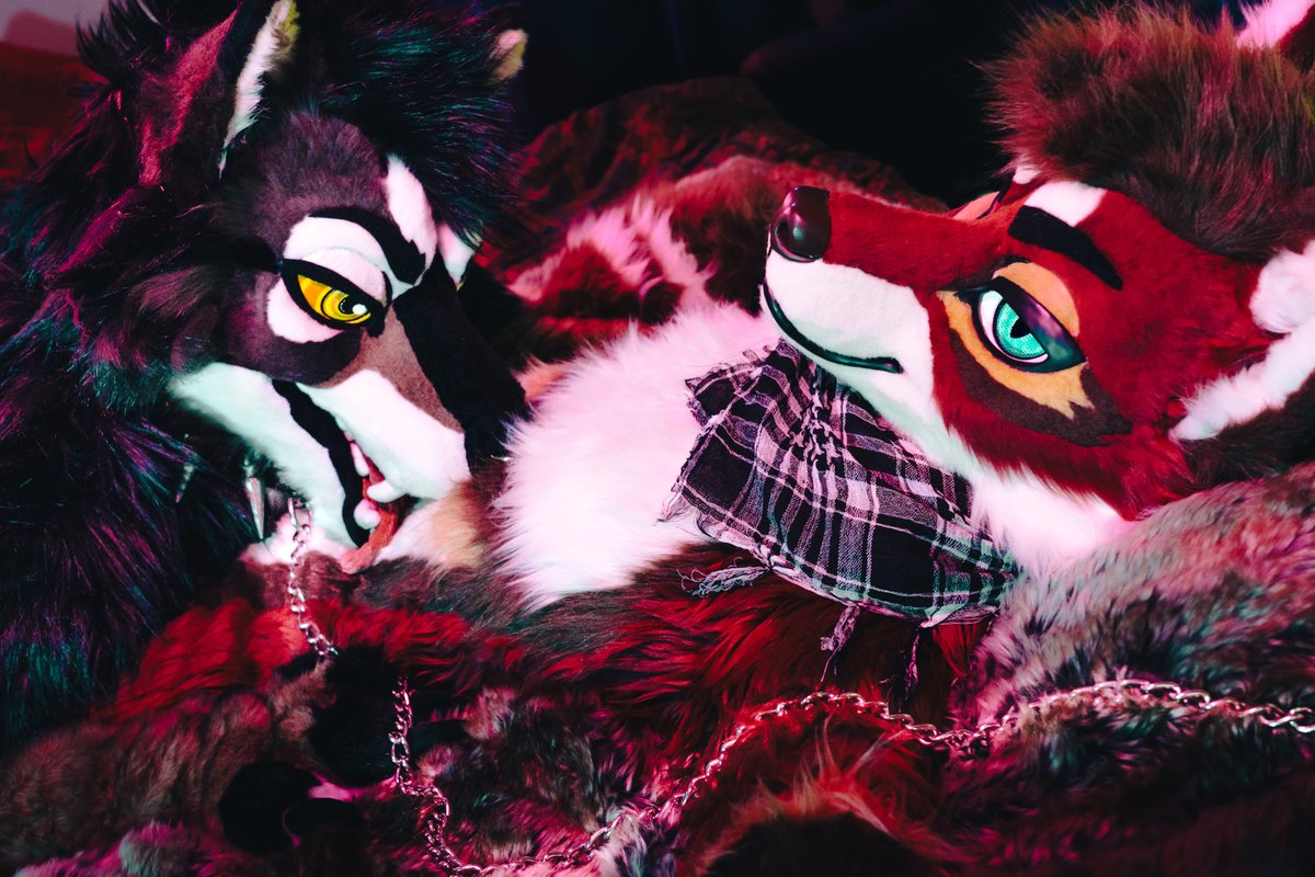 Benefits of keeping werewolves on a short leash: once they get a taste for fox, they won't want to stop 👅

🐺 <a href="/MeanYeenAD/">MeanYeen</a> 
🪡 <a href="/MidnightMkrs/">◇ Midnight Makers ◇</a>