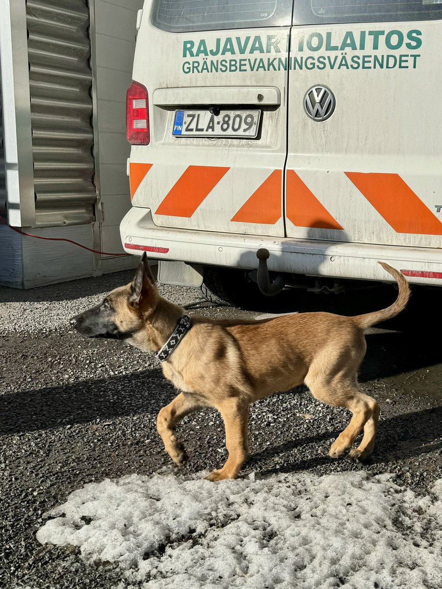 Ivalon Rajavartioaseman Jäger. Rajakoiran alku.