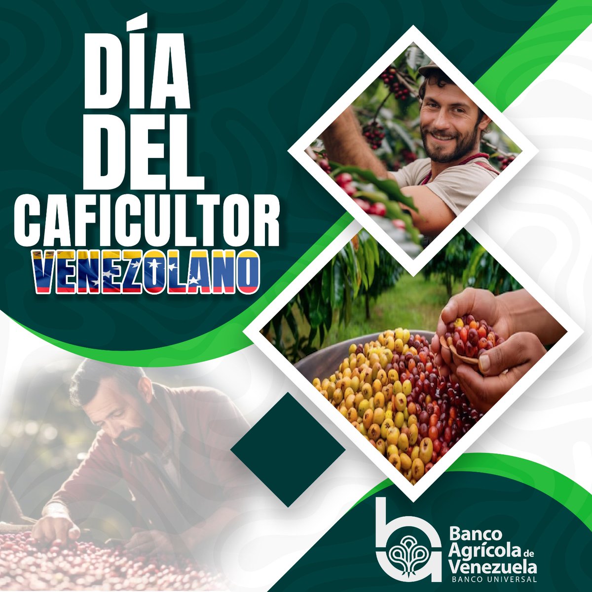 A los trabajadores incansables de la tierra, que con amor y dedicación nos regalan el delicioso café de cada día y nos reconforta cada mañana.

  ¡Felicidades hoy en su día!

siguenos en nuestras redes sociales
linktr.ee/BancoAgriVzla.