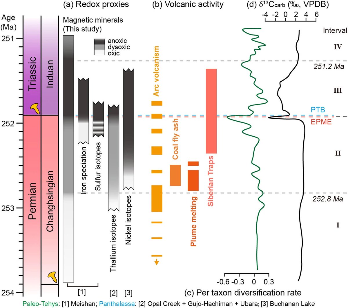 CommsEarth's tweet photo. Check our latest article on #MassExtinctions🌏🪸
New research by Min Zhang et al. suggests that oceanic deoxygenation began about 1 million years earlier than the marine End-Permian mass extinction.
Read more on👇
https://t.co/gsPpGRNioe https://t.co/eaxMscFRf7