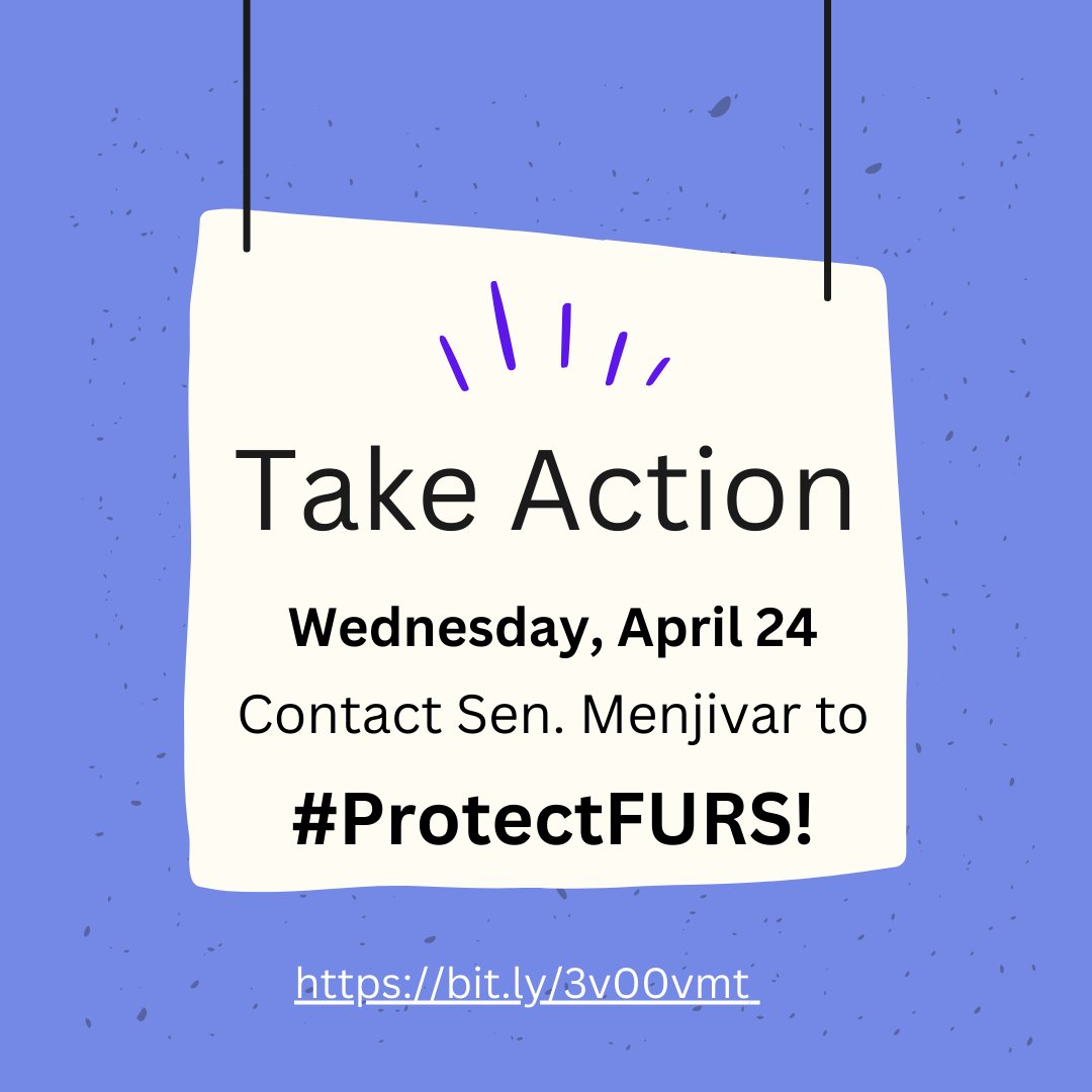 Let Senator Menjivar know you oppose eliminating the Family Urgent Response System! Learn how to take action to restore FURS in the #CABudget here: bit.ly/3v00vmt 📢 CA's budget deficit shouldn’t be fixed at young people’s expense ‼️ #ProtectFURS
