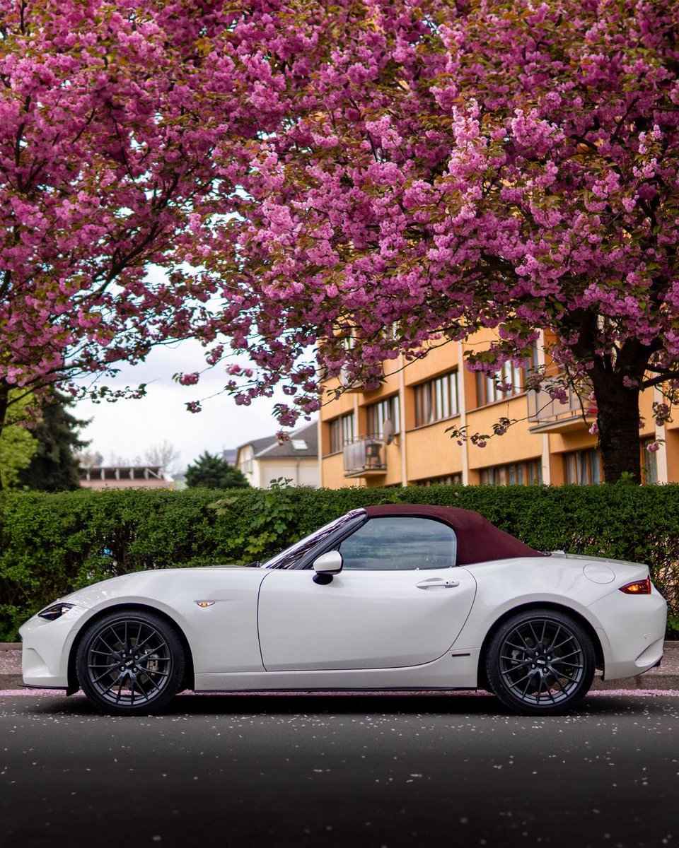 Spring is here… we’ve welcomed sunshine, rain and winds, but spring is definitely here and so is show season! 🌸
 
Is your car ready for the show season? 🚗
 
📷 @miatamotive 

#mx5parts #miata #mx5 #mazdamx5 #mx5nc #mx5nb #mx5na #jdm #cherryblossom #nature #pink #mazda