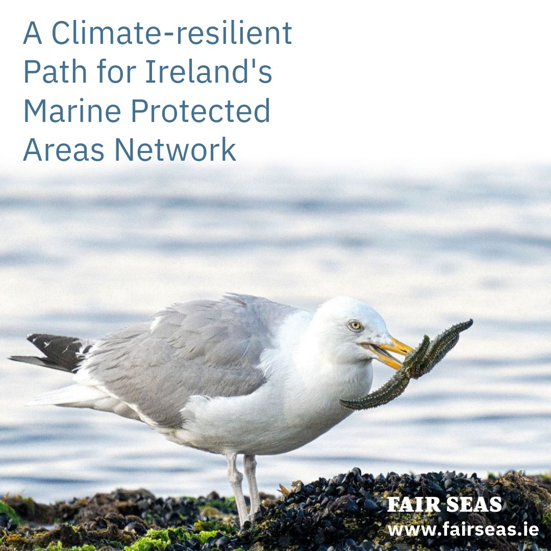 🌊 Dive into the launch of  'A Climate Resilient Path for Ireland's Marine Protected Area Network' from @FairSeasIreland. 

📅 Date: Wednesday, 1st May
🕛 Time: 12:00 - 13:00
📍 Location: Online - Join from anywhere!

Reserve your spot now ➡️us02web.zoom.us/meeting/regist…

#FairSeas