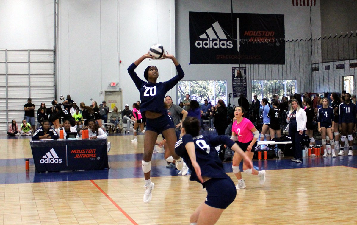 Guilherme Torres (@grtorres) on Twitter photo 2024 GJNC Texas Preview: 18 Open
<a href="/Skylinejrs/">Skyline</a>
<a href="/HoustonSkyline/">Houston Skyline</a>
<a href="/houstonjuniors/">Houston Juniors</a>
<a href="/MADFROGVBALL/">MADFROG VOLLEYBALL</a>
<a href="/TAVVolleyball/">TX Advantage VB</a>
<a href="/TAVHouston/">TAV Houston</a>
<a href="/TxPerfVBC/">TxPerformanceVBC</a>
<a href="/PDTexas/">Prep Dig Texas</a>
prepdig.com/2024/04/2024-gโฆ 2024 GJNC Texas Preview: 18 Open
<a href="/Skylinejrs/">Skyline</a>
<a href="/HoustonSkyline/">Houston Skyline</a>
<a href="/houstonjuniors/">Houston Juniors</a>
<a href="/MADFROGVBALL/">MADFROG VOLLEYBALL</a>
<a href="/TAVVolleyball/">TX Advantage VB</a>
<a href="/TAVHouston/">TAV Houston</a>
<a href="/TxPerfVBC/">TxPerformanceVBC</a>
<a href="/PDTexas/">Prep Dig Texas</a>
prepdig.com/2024/04/2024-gโฆ