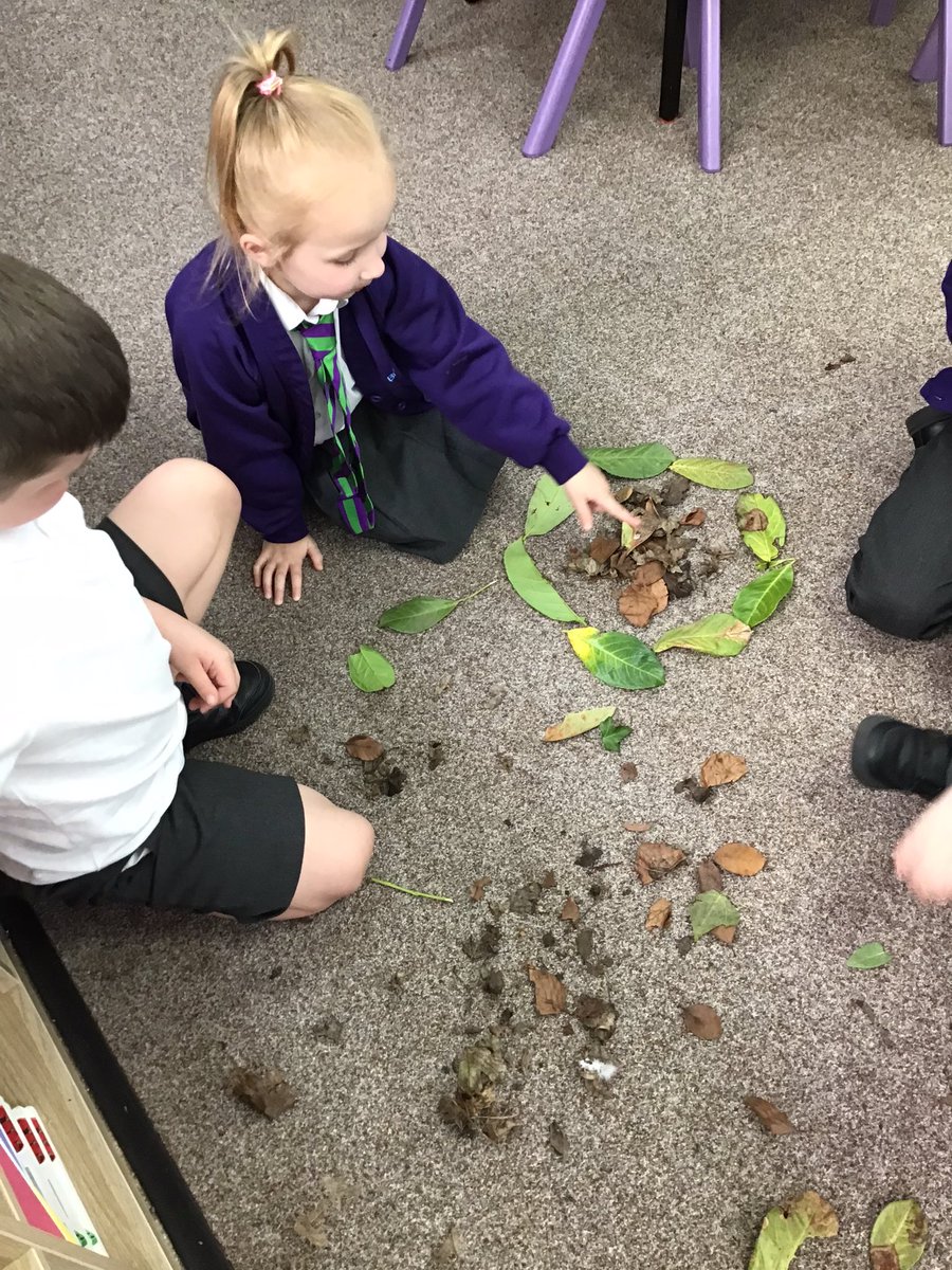 bwpyear12's tweet photo. We have had a lovely afternoon exploring the natural materials that Andy Goldsworthy uses to create his natural art. We used different coloured leaves to create patterns 🌳🍂🍃 #BWPScience https://t.co/WIgWBXK7J9