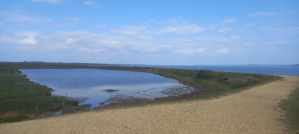 3hrs 17mins at Lymington/Keyhaven with 88spp for @Birdtrack, not bad for an afternoon with sev resident spp not seen. Marsh Sandp & Scaup still, also Ruff, Curlew Sandp & a good few Little Tern. @LymKeyRanger @HOSbirding