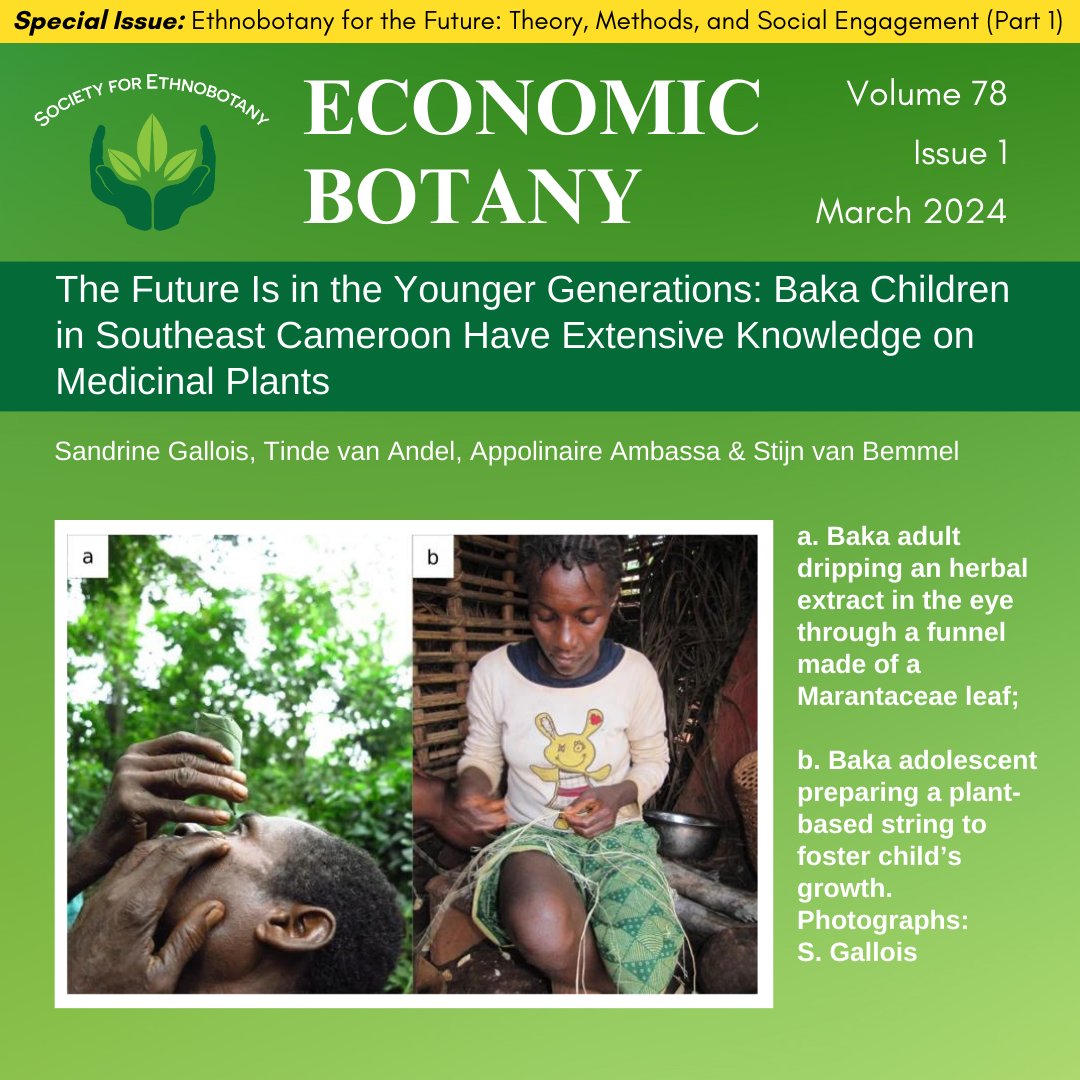 🌿Exciting research reveals the rich botanical knowledge of Baka children in Cameroon!

Check out, "The Future Is in the Younger Generations,” in the Economic Botany Special Issue now available!

SEB members: Visit ethnobotany.org &amp; login at the top to gain access!