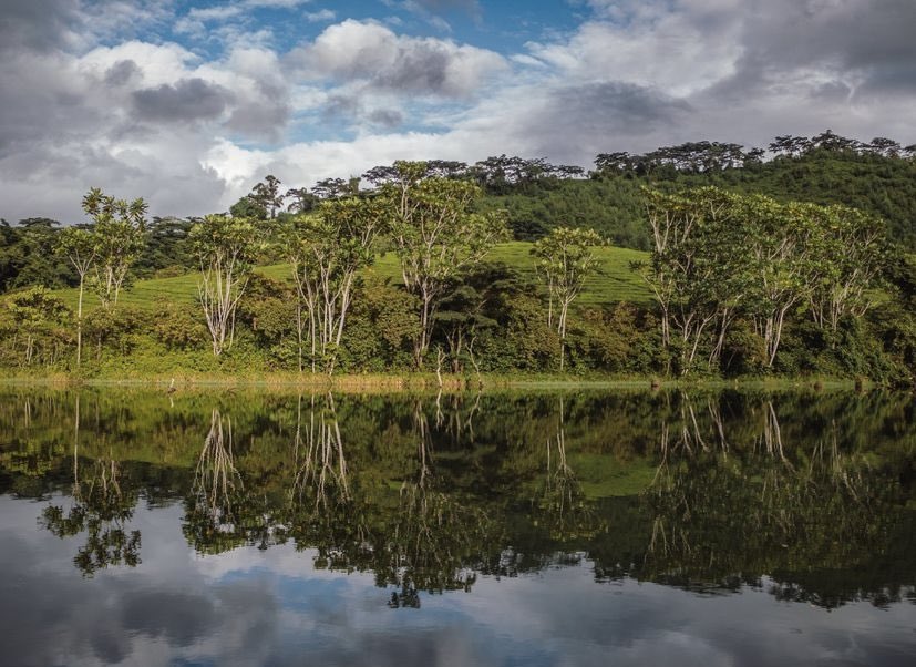 Aberfoyle 🇿🇼
#DiscoverZimbabwe