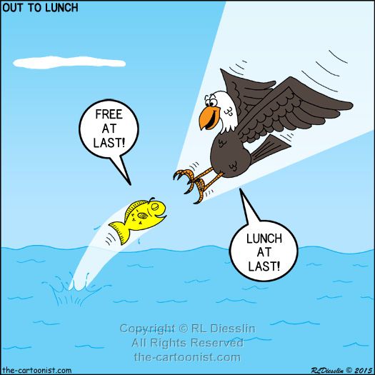 Out to Lunch Cartoon - Fish and Bird Perspectives - buff.ly/33x1w5j #otl #free #lunch #cafepress