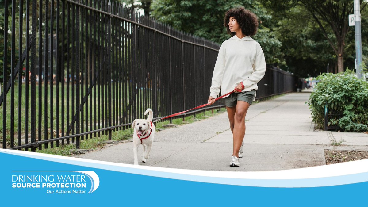 Here’s the scoop on pet poop - it can pollute #DrinkingWaterSources with bacteria, viruses, parasites and more! Pick up pet waste and toss it in the trash to protect our #DrinkingWaterSources! Learn more: bit.ly/3vry6FQ?utm_so… #SourceWaterON #WaterWednesdays