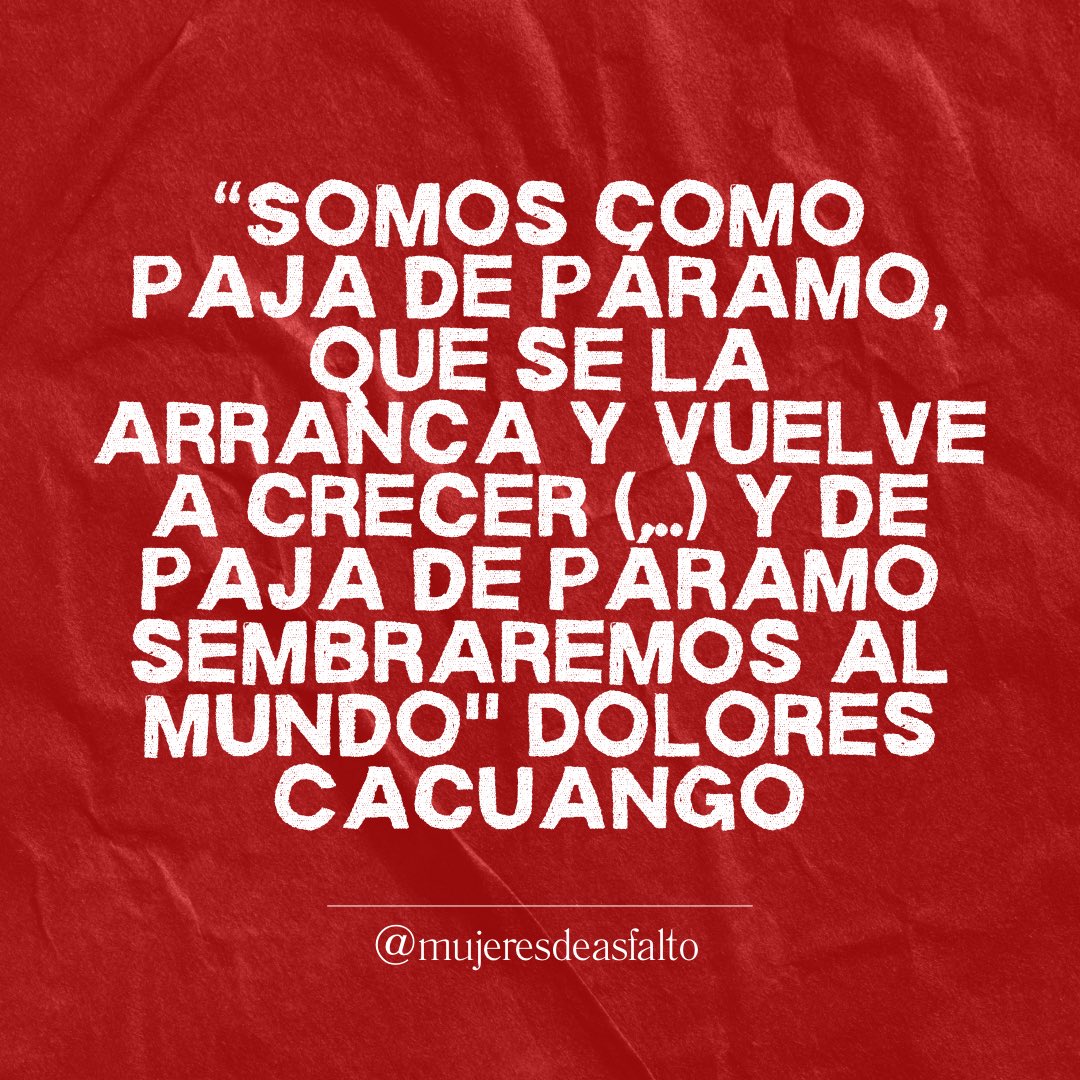 MujeresAsfalto's tweet photo. “Somos como paja de páramo, que se la arranca y vuelve a crecer (...) y de paja de páramo sembraremos al mundo" Dolores Cacuango https://t.co/QgYCuThxi6