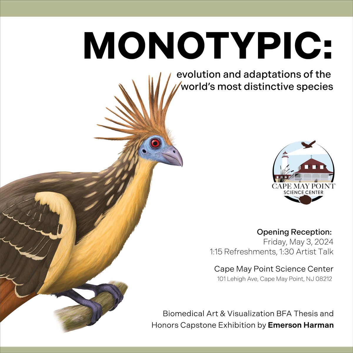 Emerson Harman will speak at the Cape May Point Science Center (NJ, also livestreamed) on Fri May 3 to introduce their BFA Thesis & Honors Capstone exhibition 'Monotypic', which includes illustrations & AR. Monotypic will be on display through the summer. docs.google.com/forms/d/e/1FAI…