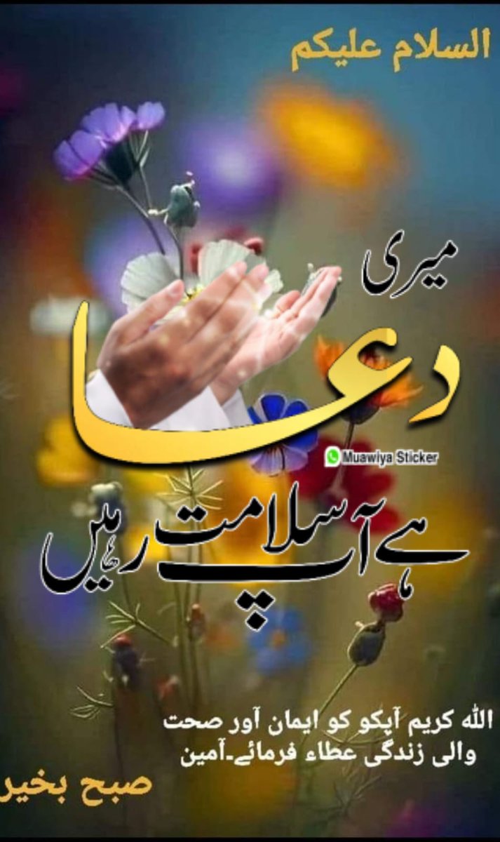 اسلام وعلیکم کیسے ہے اپ سب۔ 
شب بخیر۔۔۔