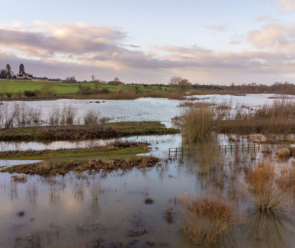 Have you ever wondered what lurks beneath the freshwaters of Floodplain Forest? 🪲 Join us for our adult workshop on Wednesday 8th May where will discuss the creatures that live there and show you how we monitor their health! Book now ➡️ ow.ly/zG9I50RjCwK