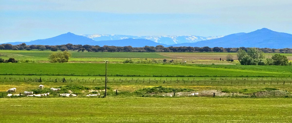 Campiña Salmantina con la sierra de bejar hoy...