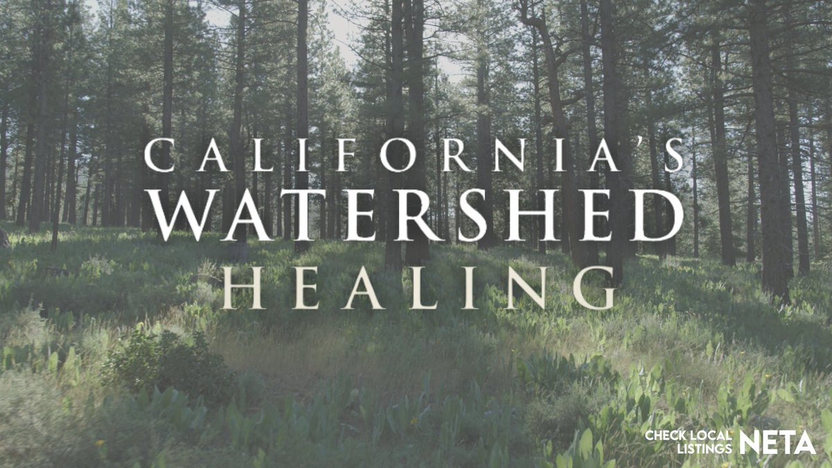 California’s forest-management solutions are gradually reversing a century of unsustainable use. Check your local PBS station’s schedule or stream on the PBS App. pbs.org/show/californi… #californiawatershedhealing #californiawatershed #sustainability #forestmanagement