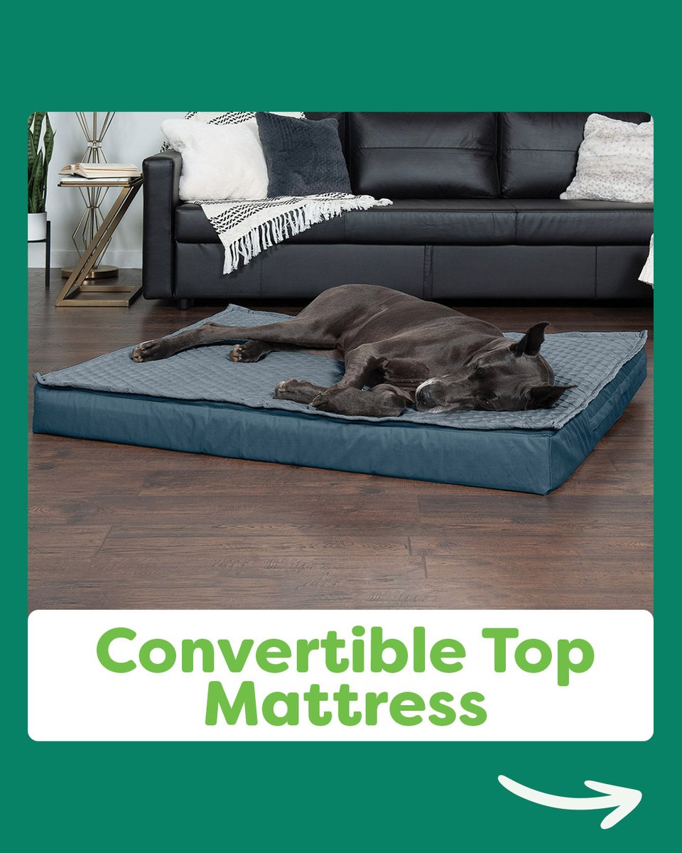 furhavenpet's tweet photo. Is your pet a #Sprawler? Or are they one of the other styles? Let us know below, and make sure to click our bio to learn more about our Sleep Styles!

#FurHaven #FurHavenPetProducts #SleepStyles #SprawlerSleepStyle #FurHavenSleepStyles https://t.co/qMIShKUR8X