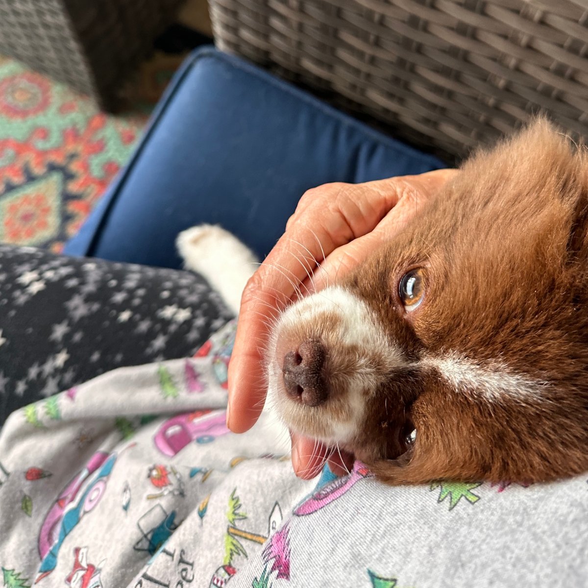 Somebody needed a hug today.