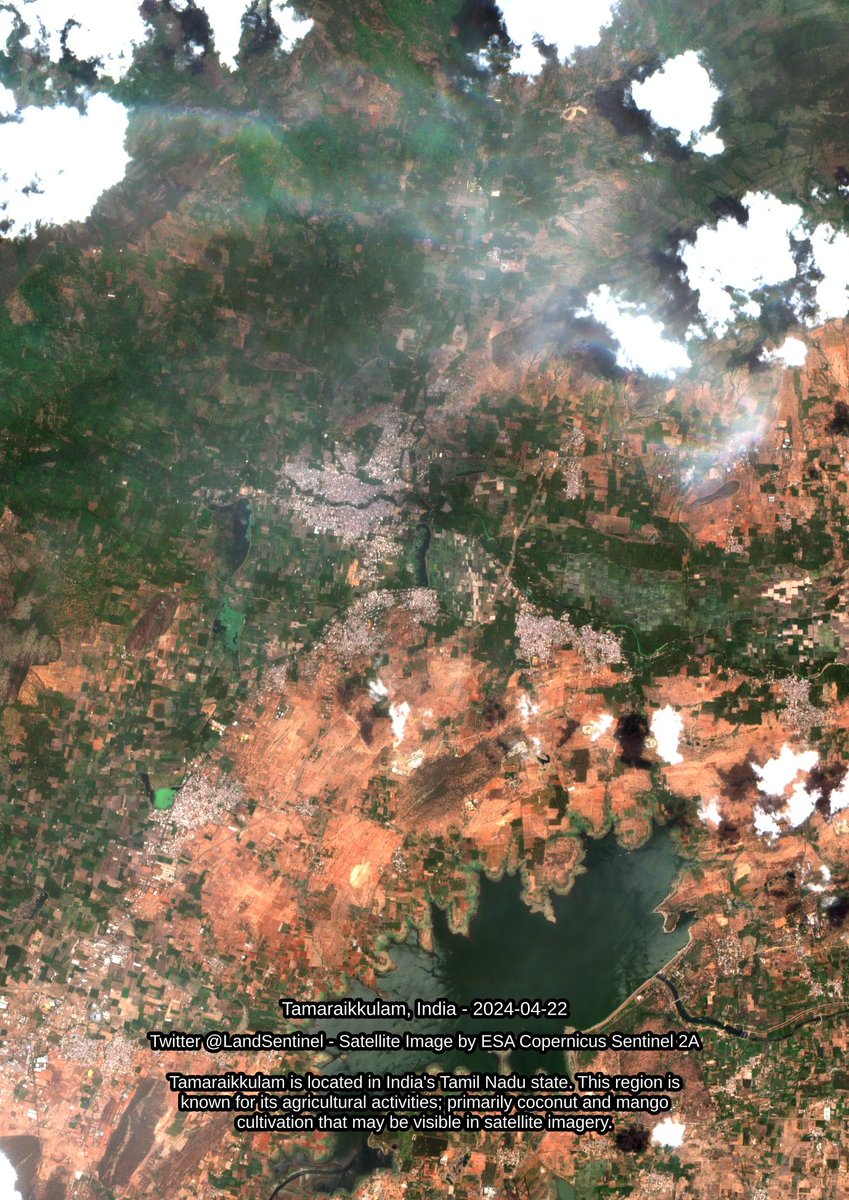 Tamaraikkulam - India - 2024-04-22 Tamaraikkulam is located in India's Tamil Nadu state. This region is known for its agricultural activities; primarily coconut and mango cultivation that may be visible in satellite imagery. #SatelliteImagery #Copernicus #Sentinel2