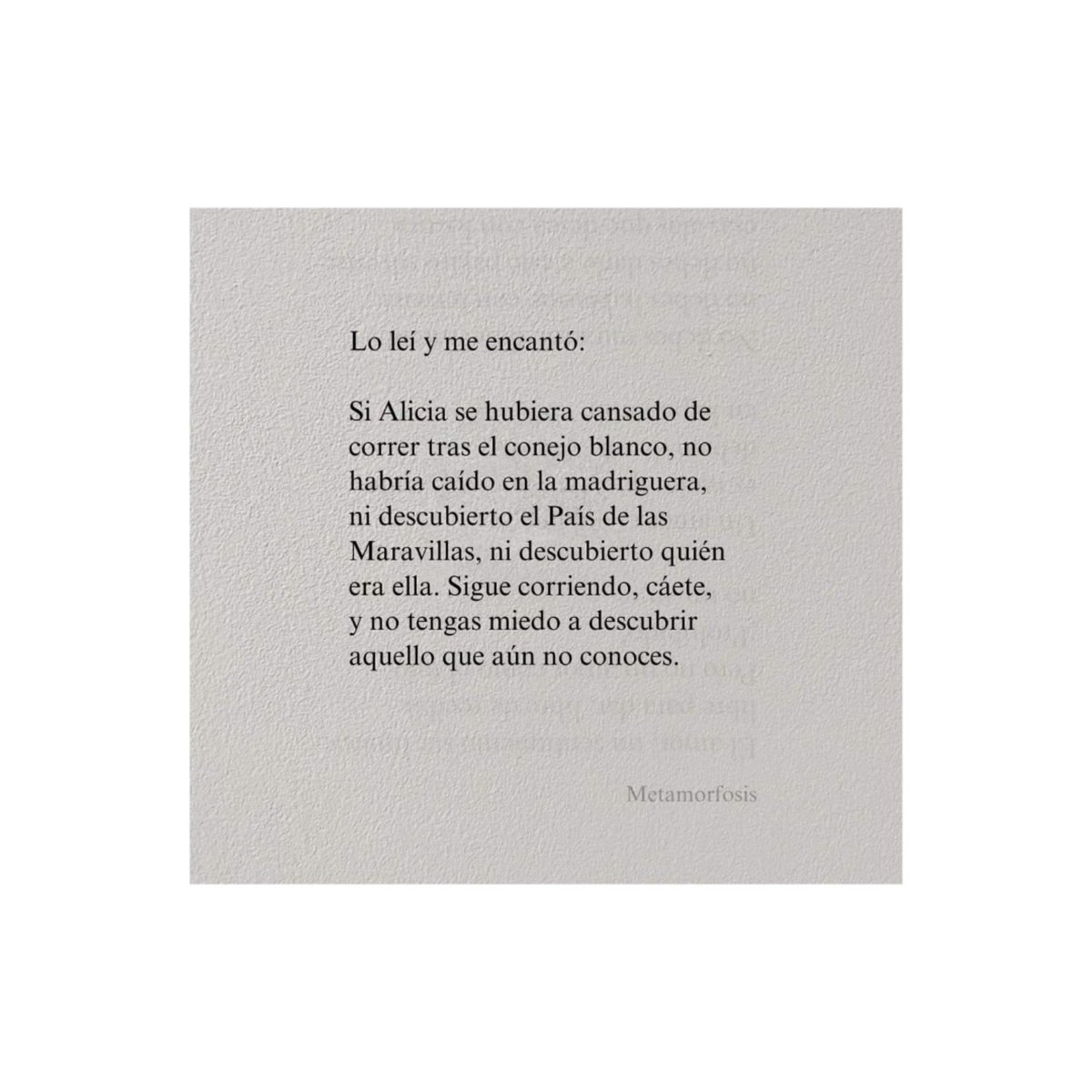 AngelicaGomezT's tweet photo. Descubrir 🤍🙌🏽🩶

#FelizMiércoles #Timing https://t.co/yUikT3ktdT