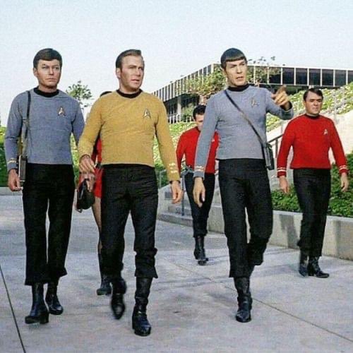 agraphafx's tweet photo. “Yes, Captain. I do believe this is where the historical tapes show your planet’s near overthrow by domesticated apes. Luckily your eugenics wars eradicated that threat.
However, those records may be suspect.”
#spockalypse https://t.co/DVMTVoP7eW