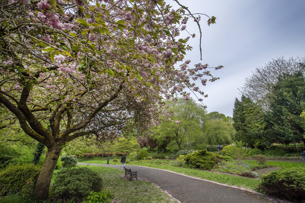 #Leicester's Castle Gardens are a five-minute walk from the city centre and well worth a visit in the spring, or any time of year 🌷 🌳🌷