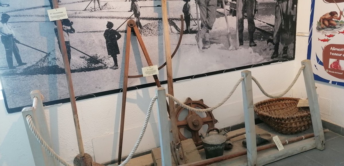 IsaLevyPrat's tweet photo. Bonsoir ☺️ 
Musée du sel #LaBaleine qui fête ses 90 ans🥳
Mon côté nostalgique 😬 avec les salières de 1970 à 1989....
Très belle soirée à tous 🤗 
Je vous embrasse 😘 https://t.co/YM6iEgoPRr