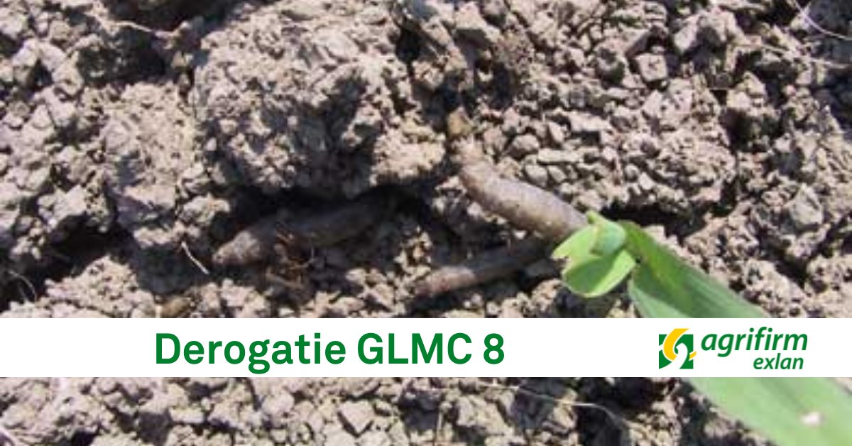 Agrifirm's tweet photo. Recent hebben agrarische ondernemers bericht van RVO ontvangen over het aanvinken van derogatie GLMC 8. Maar niet elke boer is daartoe verplicht. In dit artikel leggen we uit wanneer je wel en wanneer je niet moet voldoen aan GLMC 8 👉https://t.co/XmuZp4r2w7 #Exlan https://t.co/JV5yfdo4KW