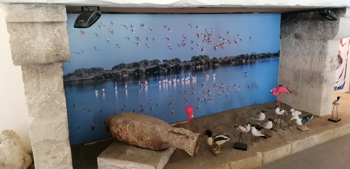 IsaLevyPrat's tweet photo. Bonsoir ☺️ 
Musée du sel #LaBaleine qui fête ses 90 ans🥳
Mon côté nostalgique 😬 avec les salières de 1970 à 1989....
Très belle soirée à tous 🤗 
Je vous embrasse 😘 https://t.co/YM6iEgoPRr