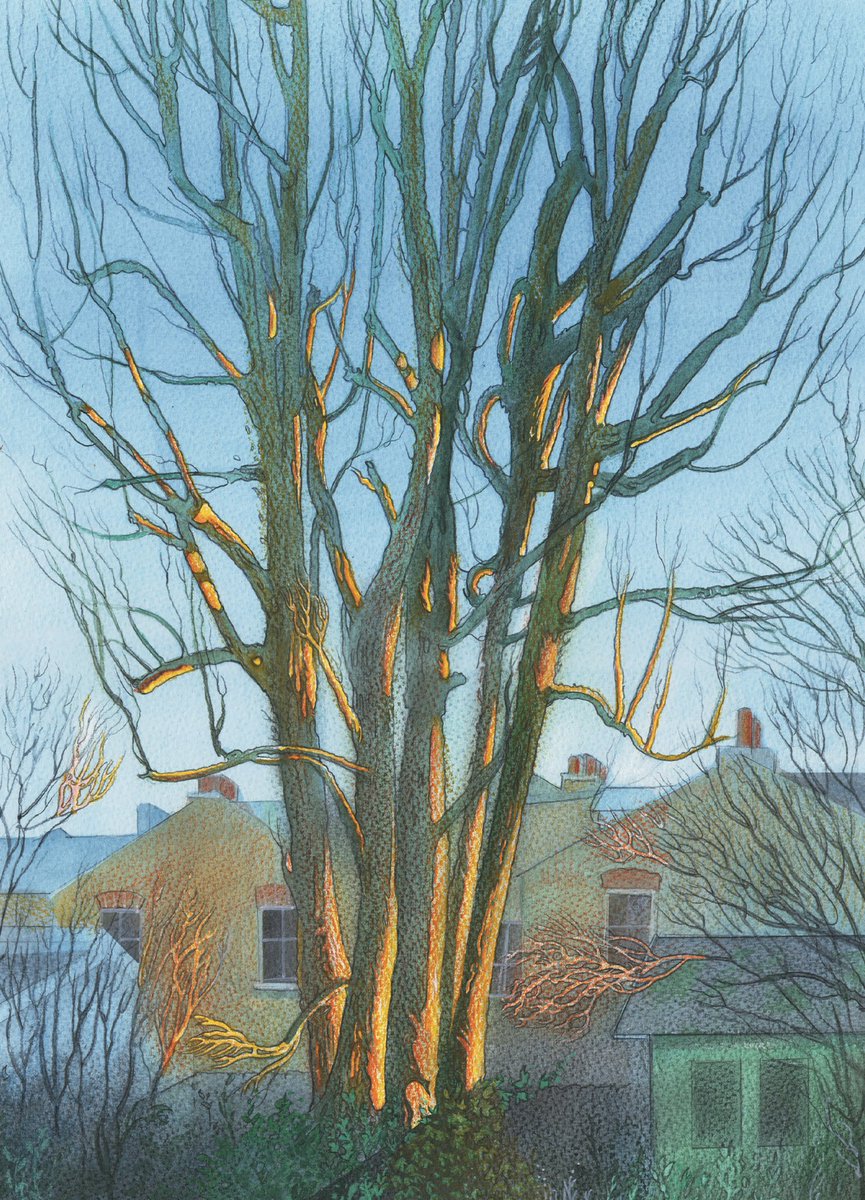 'Late Afternoon in a Suburban Garden', St Margarets (2021) by Ian Archie Beck ianarchiebeck.co.uk