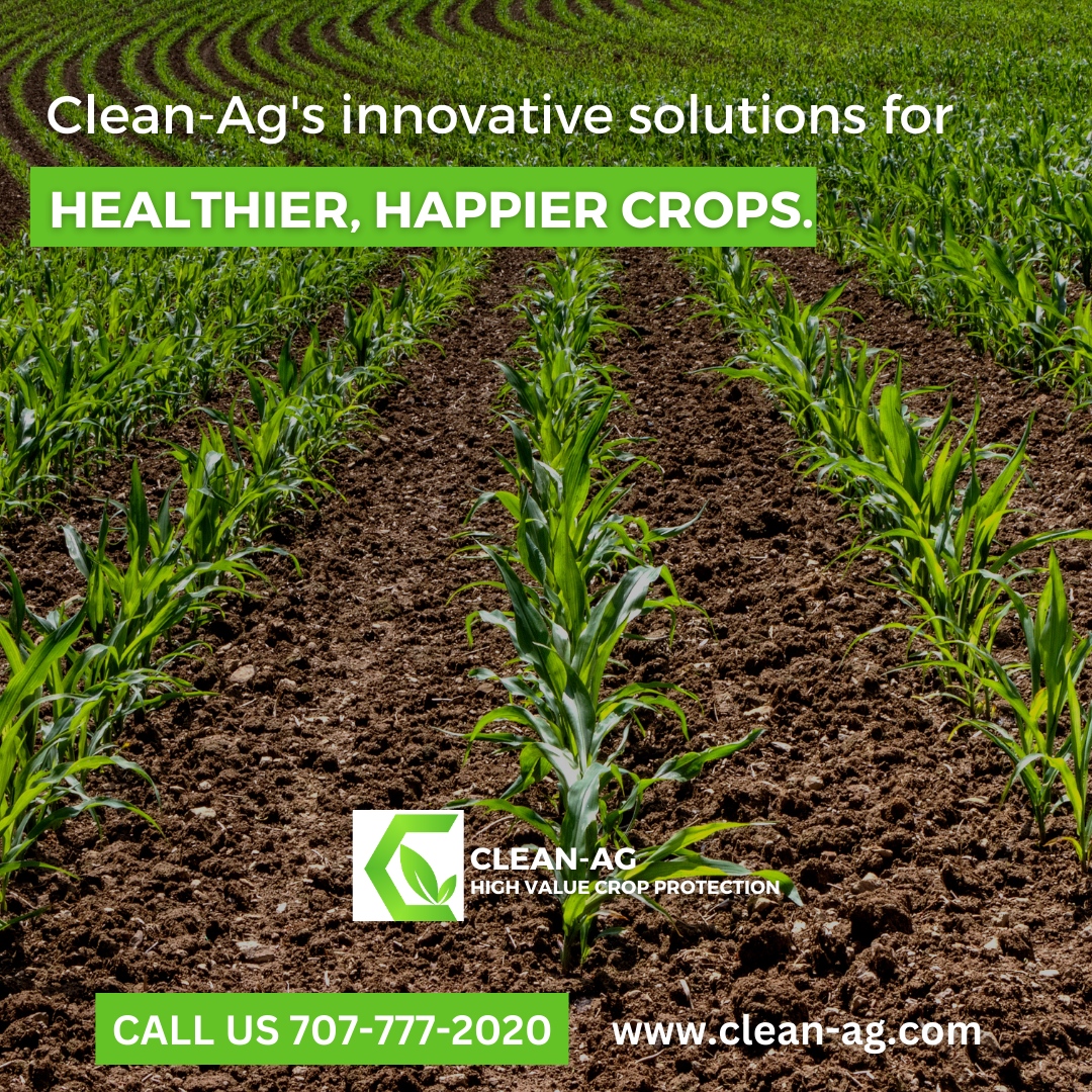 cleanaginc's tweet photo. 🌿🌟 Unleash the potential of your crops with Clean-Ag's breakthrough solutions tailored for healthier and more resilient harvests. 

Safeguard your fields against diseases and pests with Clean-Ag's proven and reliable pesticide formulations 

🌐 https://t.co/TpMoyaMXTY https://t.co/eebRobQ8S6