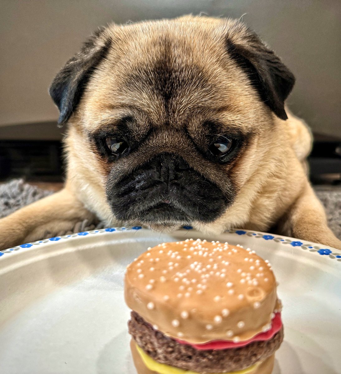 Grilling season is coming! -Z man 

Make sure to pick up your favourite pooch a burger of their own from @boscoNroxys 

#pug #dogtreats #burger #ldnont