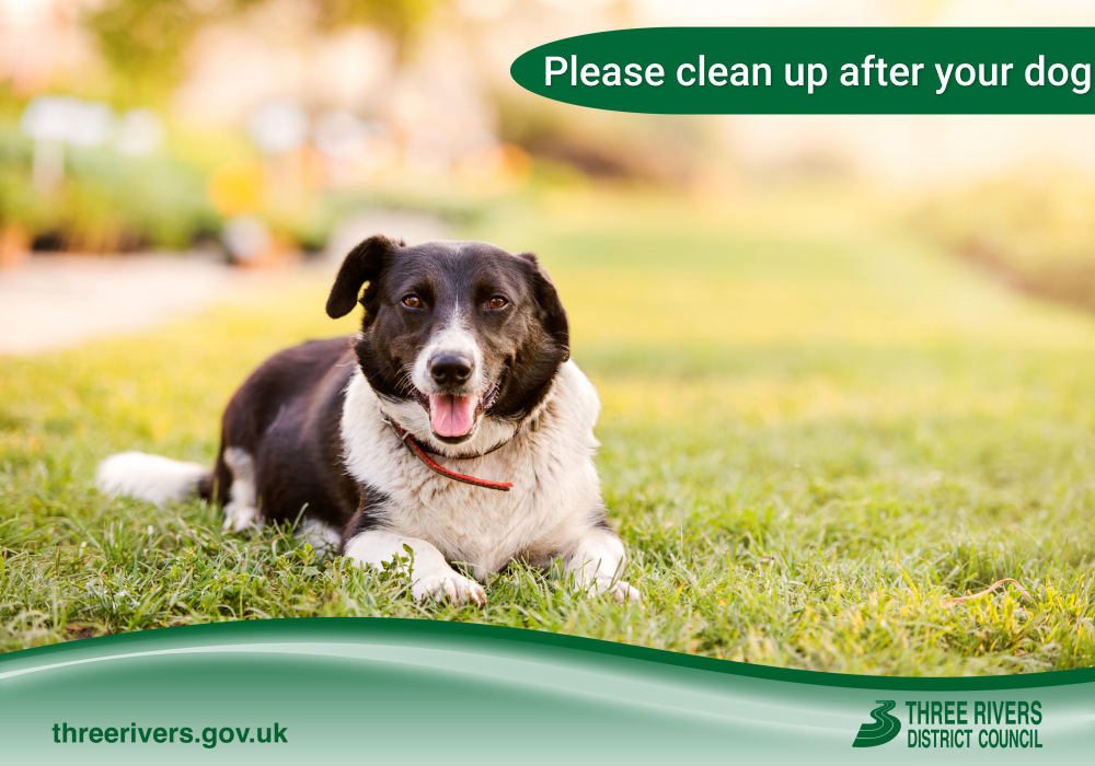 🐶 Please clean up after your dog and use the dog bins provided throughout the district.🐕

You can report dog fouling, or full/damaged dog bins quickly and easily online 
👉ow.ly/NN3650RlVKz

#ThreeRivers #dogwalking #dogbins #dogfouling #dogowner