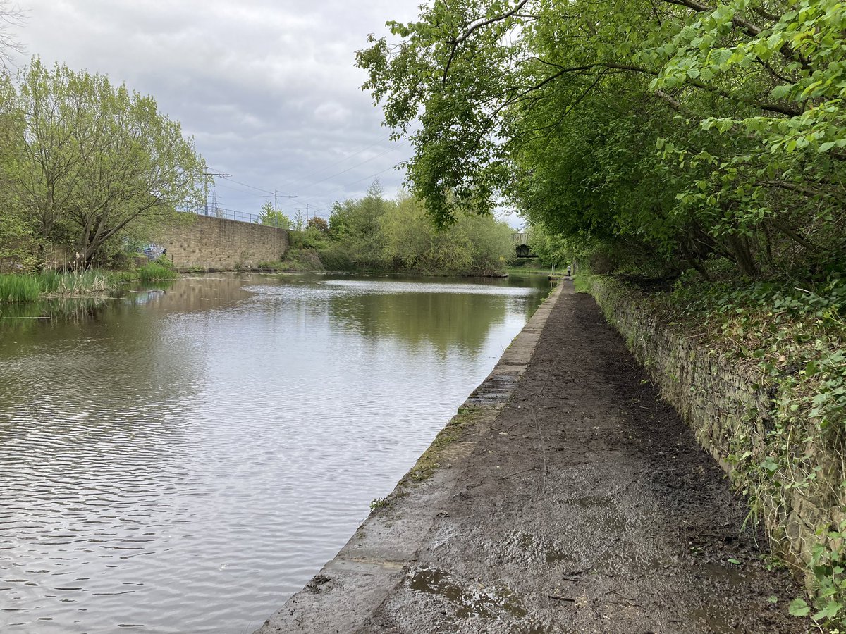 We were back on the Canal at Staniforth Rd/Roundel St working on the towpath towards Shirland Ln for today’s @CRTYorkshireNE session. And there was no rain. Which makes a change!😂 Good progress & turnout - Thank you ‘Loopers! 👍👌 @RiverStewards @theoutdoorcity #sheffieldissuper