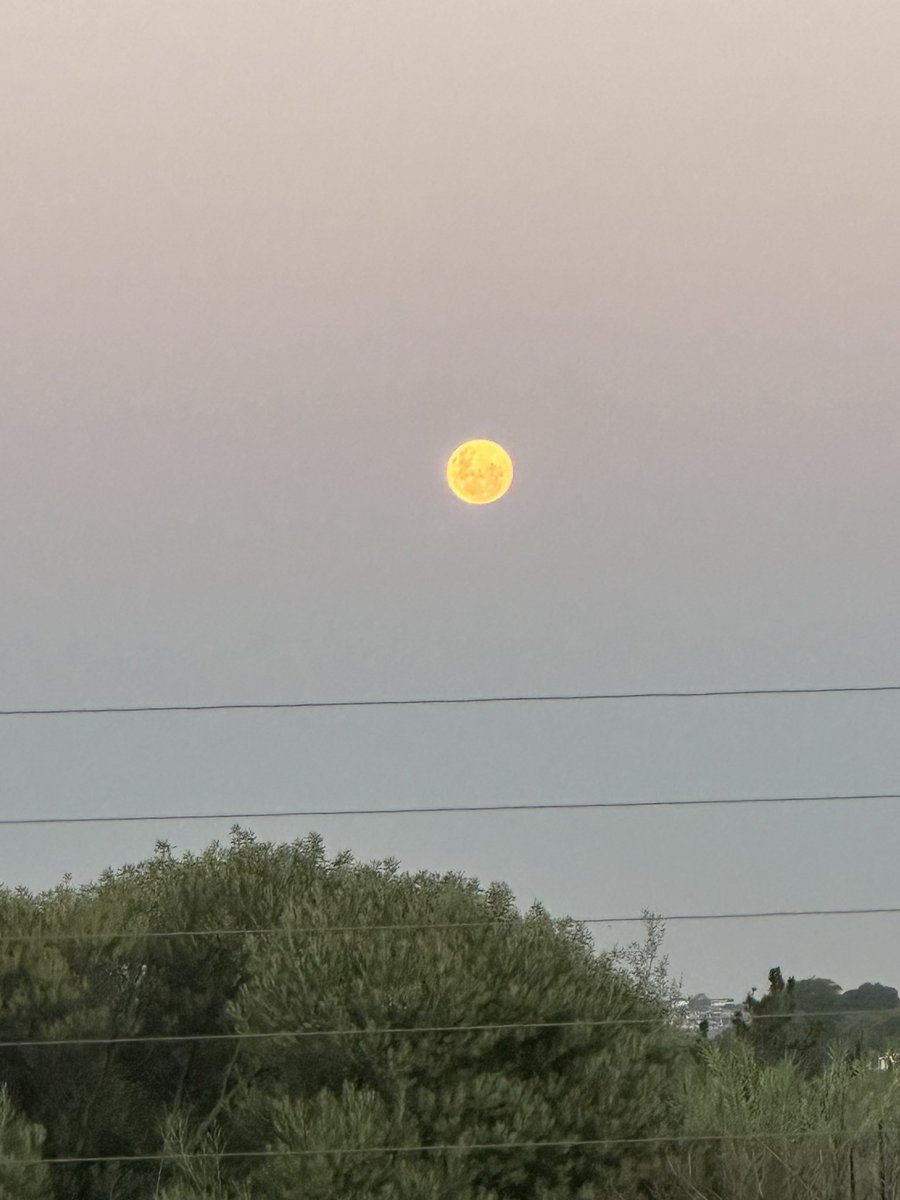 Lia_C__'s tweet photo. The moon looking so pretty 💗 https://t.co/WnrpmUqfN9