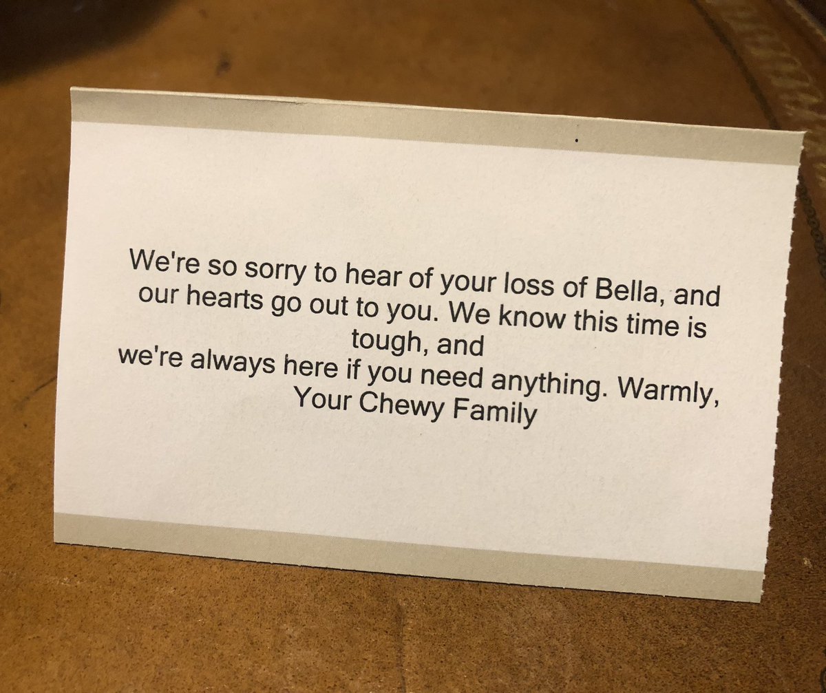googasmammoo's tweet photo. Thank you for this beautiful bouquet .@Chewy. This gesture gives us hope that there are kind people (and businesses) who truly care about others. #imcryingandyourecrying #missingmycat #bella https://t.co/HoLxVuUt8z