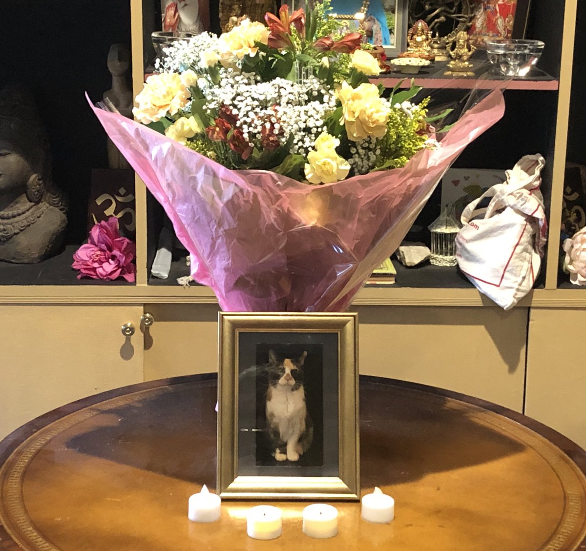 googasmammoo's tweet photo. Thank you for this beautiful bouquet .@Chewy. This gesture gives us hope that there are kind people (and businesses) who truly care about others. #imcryingandyourecrying #missingmycat #bella https://t.co/HoLxVuUt8z