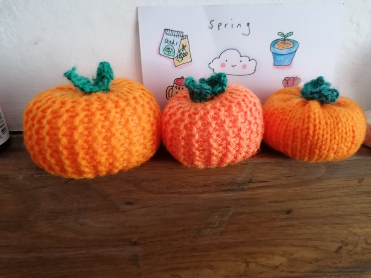 Bit early😜. Papa, mama and baba pumpkin😂. All in a good cause, for the library (children) Halloween project for my knit and natter group. #treechiefs
#riabythesea
#mickandria
#knitandnatter
#riasknits
#guisborough