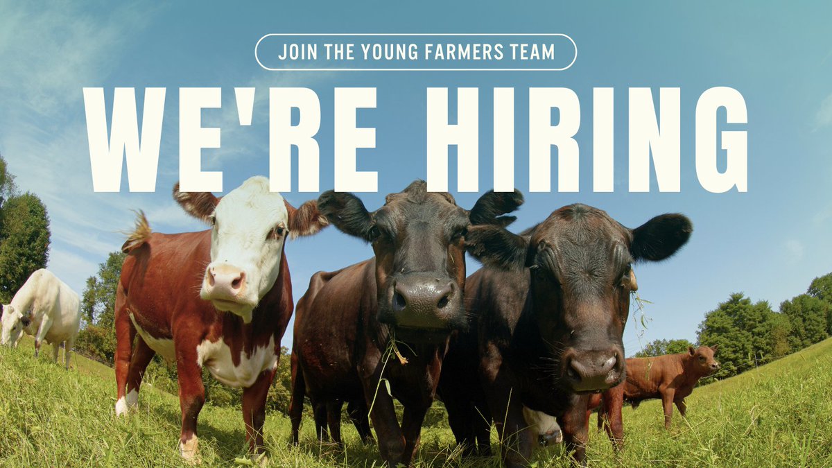 @YoungFarmers is #hiring a Development Associate to support the Development team in administering and managing fundraising processes. Applications are due Monday, May 20, 2024 at 9am ET.  Learn more and apply: youngfarmers.jotform.com/240995742465973