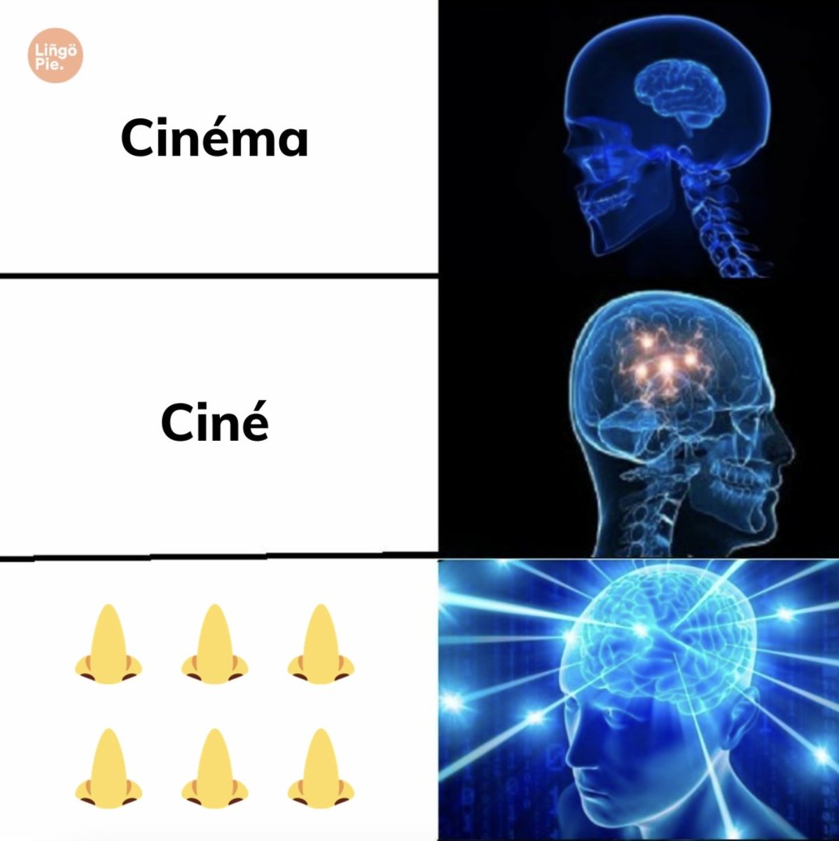 Lingopietv's tweet image. Those who get it, get it 😂⁠
⁠

#learninglanguages #languages #french #meme