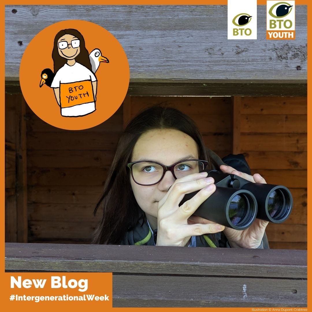 New blog from Youth Rep Socks😃Discover how their grandparents inspired their birdwatching journey, love of owls and passion to protect the natural world.🦉🌎 Have a read ➡️bit.ly/3W8tO1b #BTOYouth #IntergenerationalWeek To get involved with BTO Youth and discover…