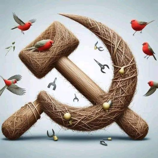 Norman Bates ✊ ☭ 💜 forza Viola 💜 (@tammanicola) on Twitter photo 