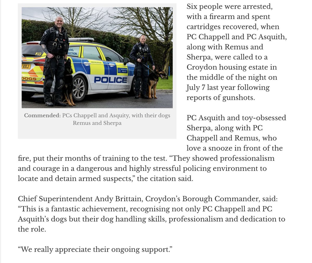 It’s always good to see awards coming from @PoliceChiefs in recognition of brilliant Dog Teams Well done PCs Chappell & Asquith + the Amazing Remus & Sherpa @MetTaskforce @lrpduk @BTPDogs @AssociationRPDs @The_NFRSA @Chappers2013 @PD_DexterWBDOG @K9memorialUk @KeoghHeath