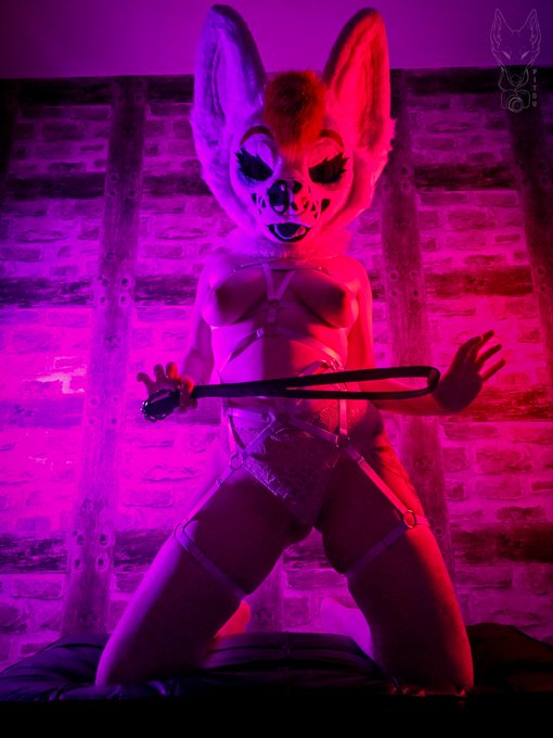 📸 Set 95 Noohm 💙 She want play with a leash 😈 On your knees ! good boy 🔞  With @CorgiMaw   Full set https://t