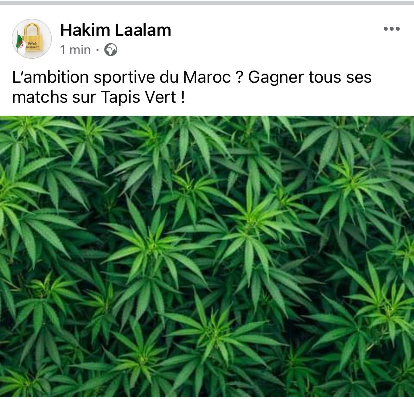 #israel #sionisme #Maroc #cannabisindustry #CannabisLand #MohamedVI #drogue #Mafia #football #CAF #fifa #Diplomatie #Algerie