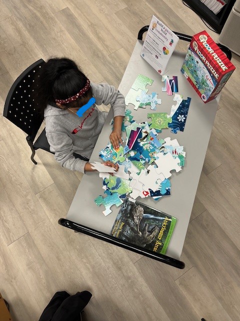 Things we do in the library on a rainy dreary morning! #read #colour #puzzles #librarylove #rainraingoaway #elementaryschoollibraries #ocdsblibraries