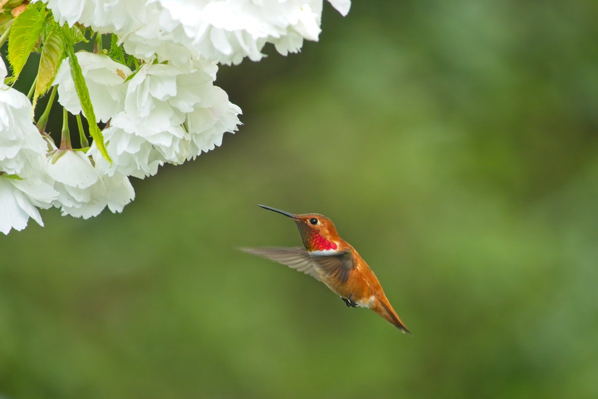 Geoff Johnson tweet media