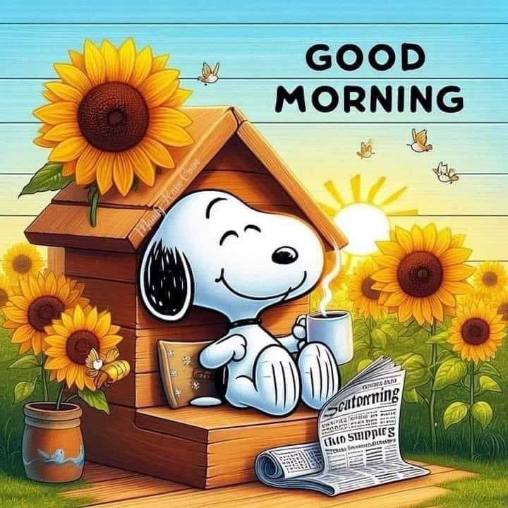 Princesse323's tweet photo. ❤️💋🌹
Excelente día Miércoles ! ☀️☕️🌺🌻🌻 https://t.co/z1zYqp1LqD