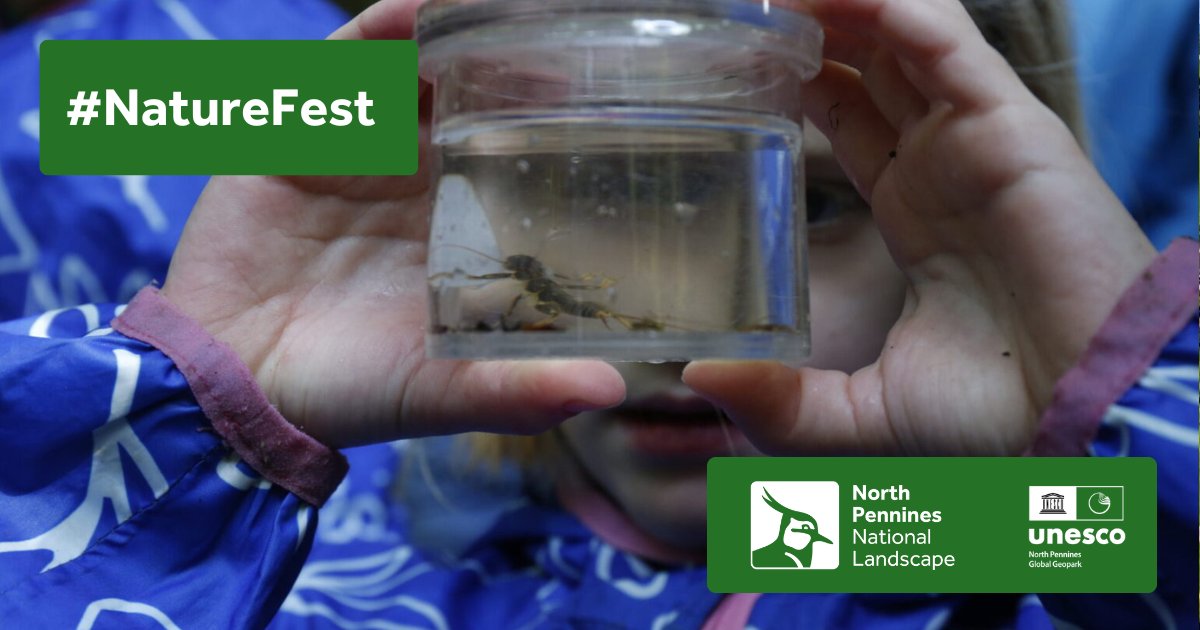 Spend a relaxed morning #outdoors with your children under the age of 5 at Harehope Quarry on 28 May or at Bowlees Visitor Centre on 30 May, 10am-12 noon. £2 per child (accompanying adults are free): northpennines.org.uk/event/outdoor-… #NorthPenninesNatureFest24 NorthPenninesNatureFest.org.uk